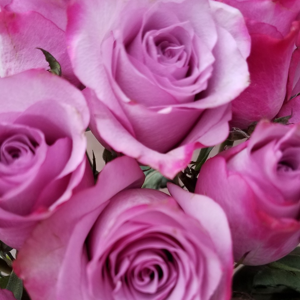 Meet your Posher, Christa